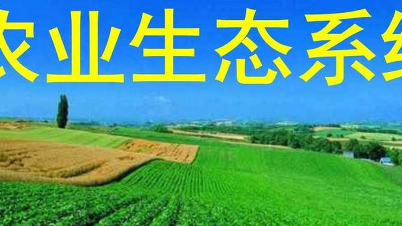 生鲜农产品厂家直供渠道：揭秘背后的优势与挑战