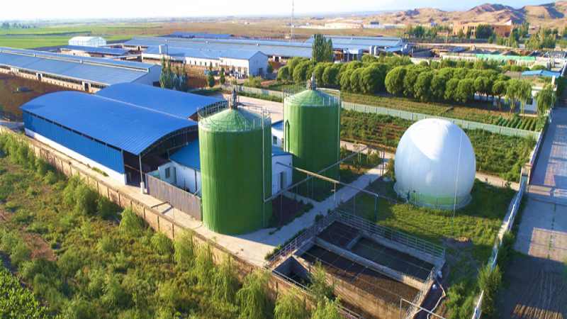 农村合作社的运营模式：构建现代农业的基石