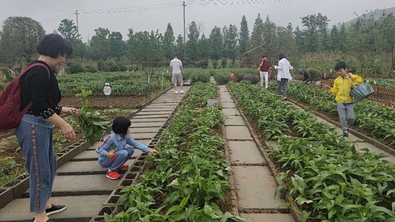 农资货源批发平台推荐