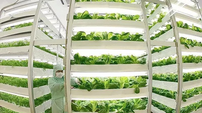 滴灌智能系统在休闲农业园区的应用解析**