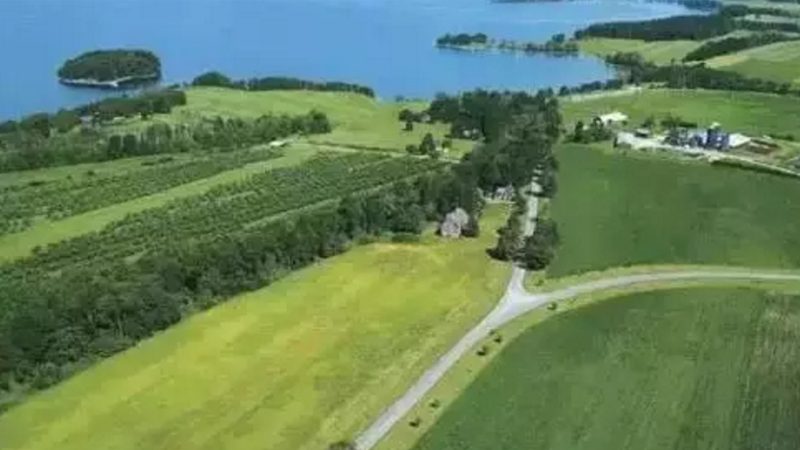 生物防治：农业生态平衡的守护者**