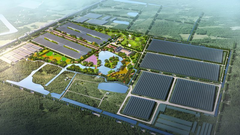 设施农业物联网项目招标流程全解析