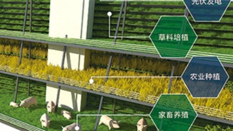 中小型农业企业如何构建高效产业链