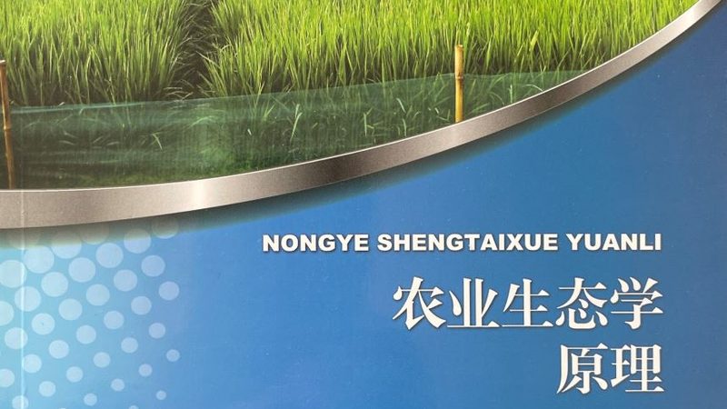 现代农业园区规划设计：打造高效农业的未来蓝图