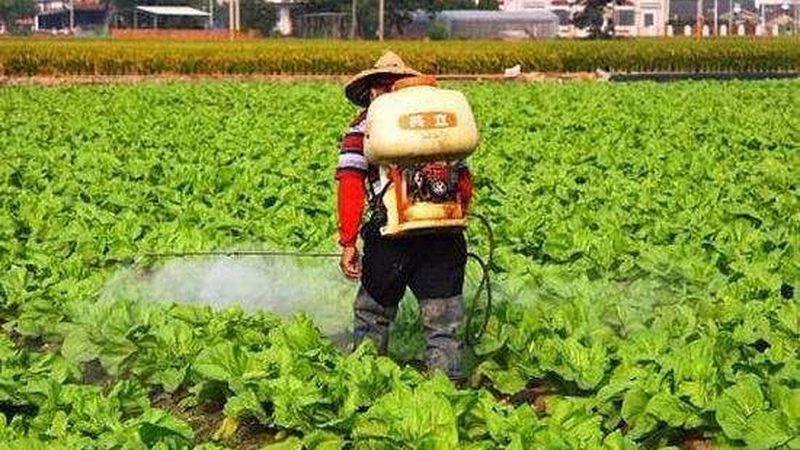 果蔬配送报价单里藏着哪些门道