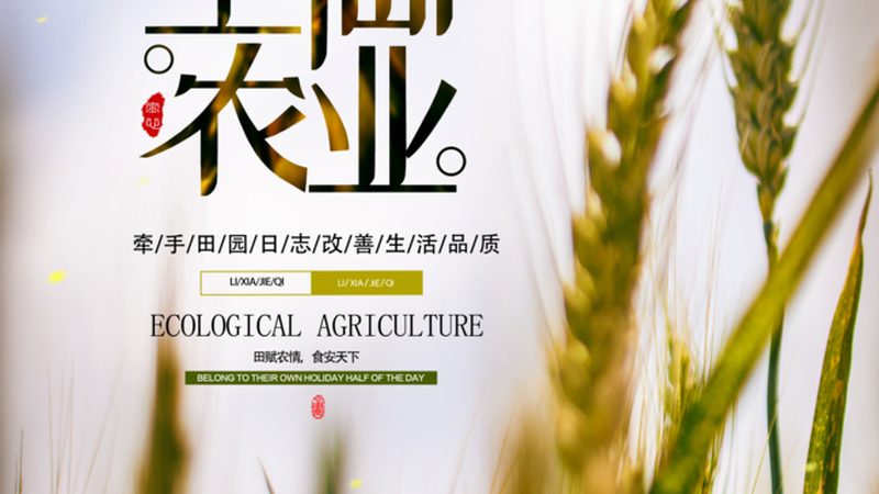 农业合作社补贴政策：解读与实操指南**